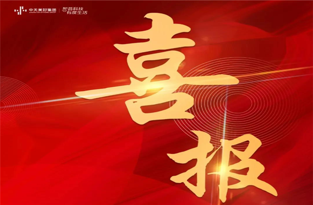 304am永利美好集团蝉联“2021长三角城市群房地产公司品牌价值TOP10”